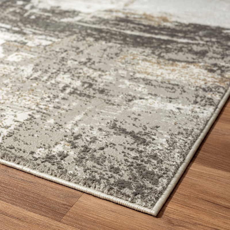 Camellia 1660 Distressed Abstract Area Rug