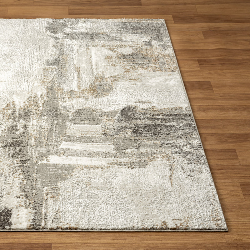 Camellia 1660 Distressed Abstract Area Rug