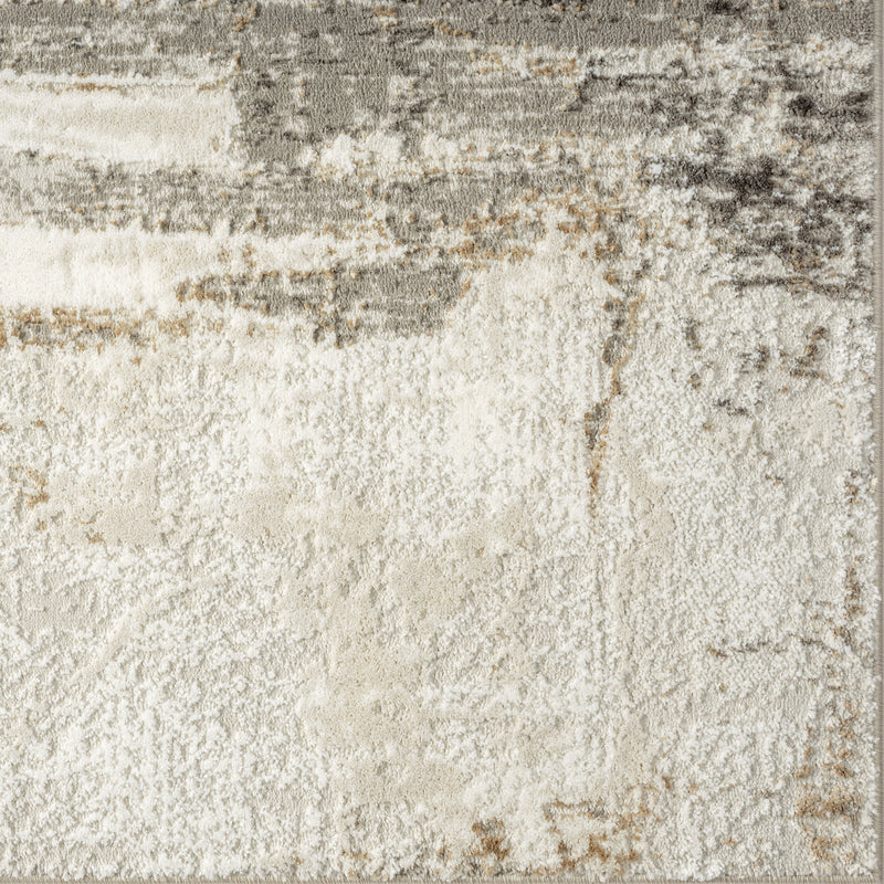 Camellia 1660 Distressed Abstract Area Rug