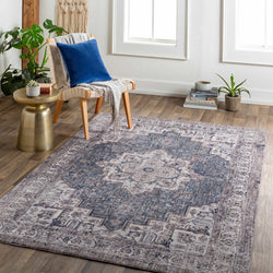 Ponot Area Rug - Clearance