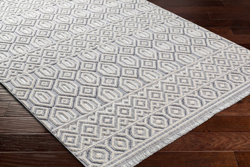 Ankan Area Rug