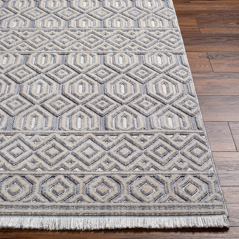 Ankan Area Rug