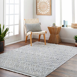 Ankan Area Rug