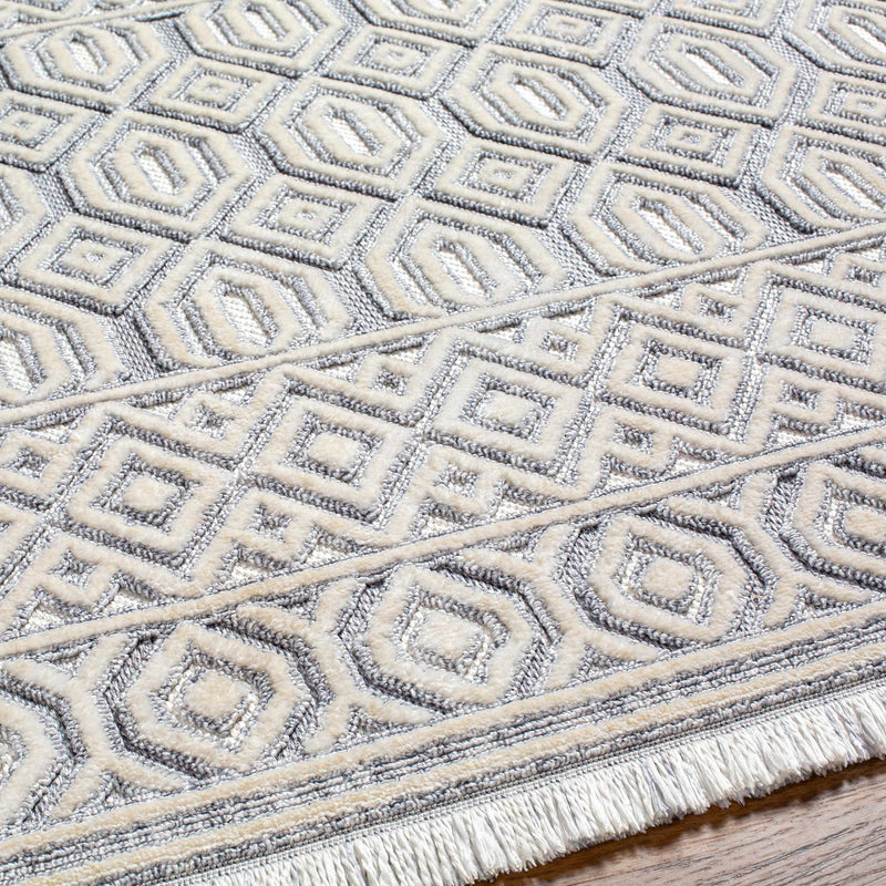 Ankan Area Rug