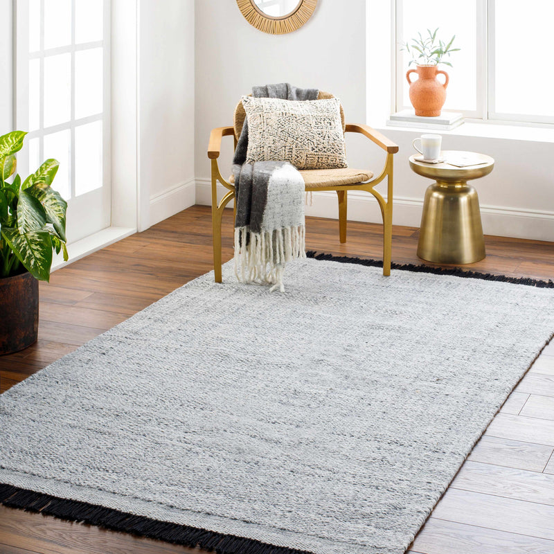 Gray Anane Area Rug