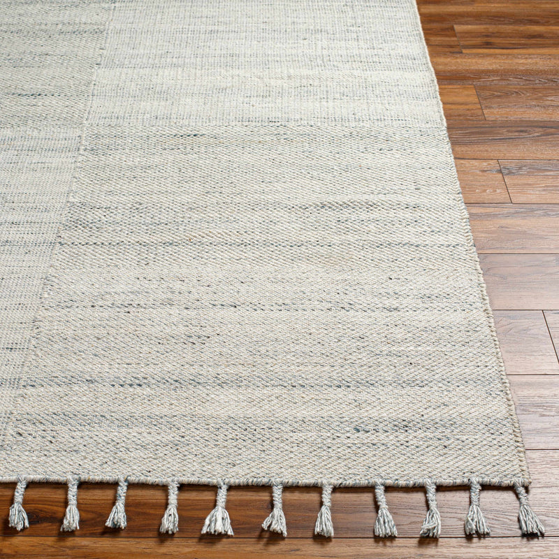 Anaya Beige & Blue Area Rug