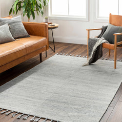 Anaya Beige & Blue Area Rug