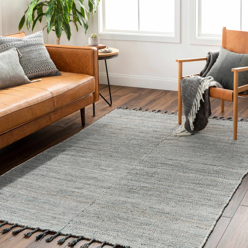 Anaya Beige & Teal Area Rug